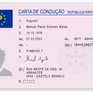 Permis de Conduire (Portugal)