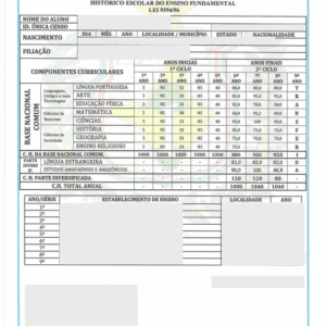 Historique Scolaire (Brésil)